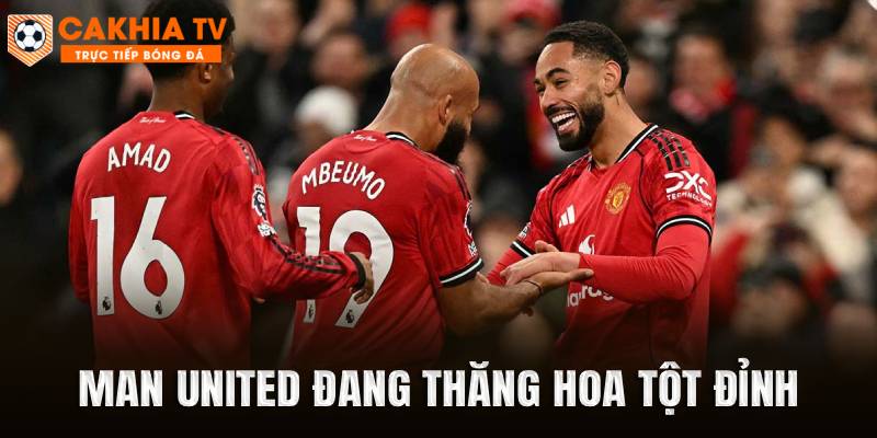 Man United đang thăng hoa tột đỉnh